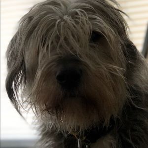 Meet your Posher, Chris